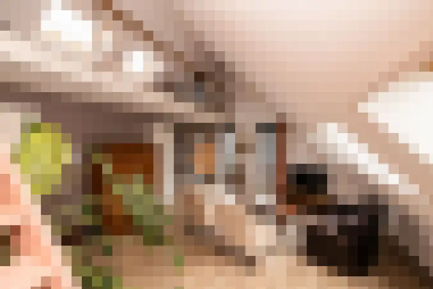 Oranjeplaats 20 Schoonhoven thumbnail 20