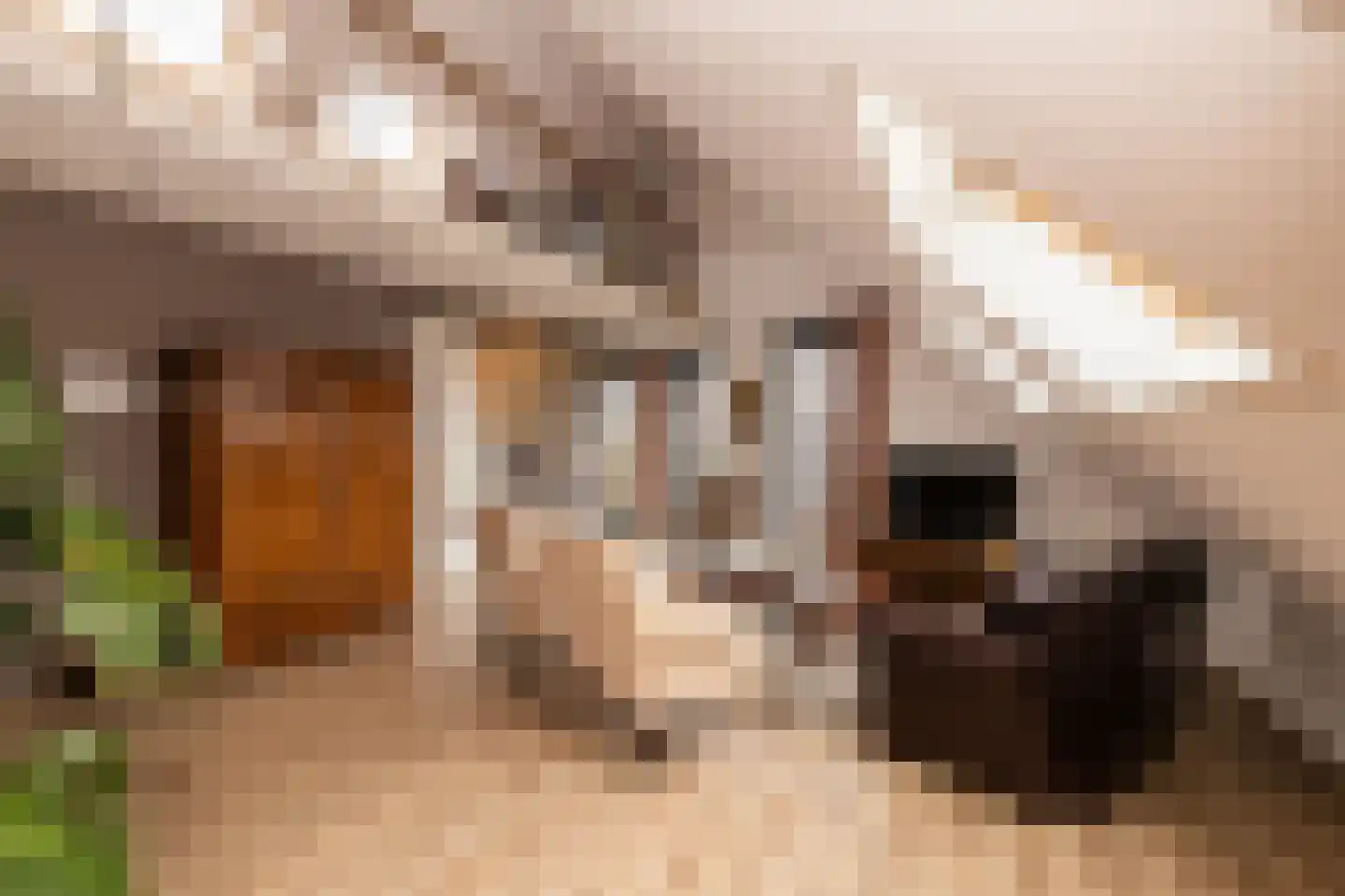 Oranjeplaats 20 Schoonhoven thumbnail 21