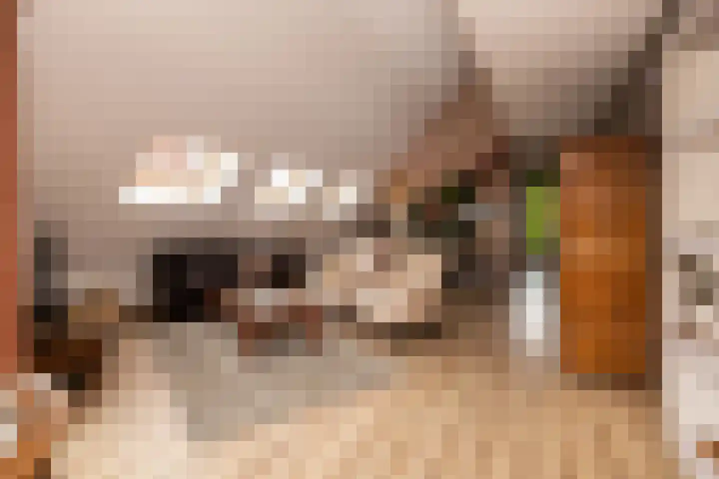 Oranjeplaats 20 Schoonhoven thumbnail 22