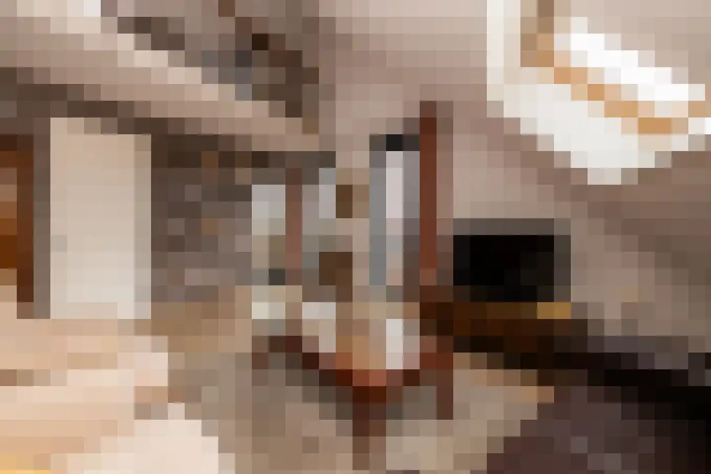 Oranjeplaats 20 Schoonhoven thumbnail 25