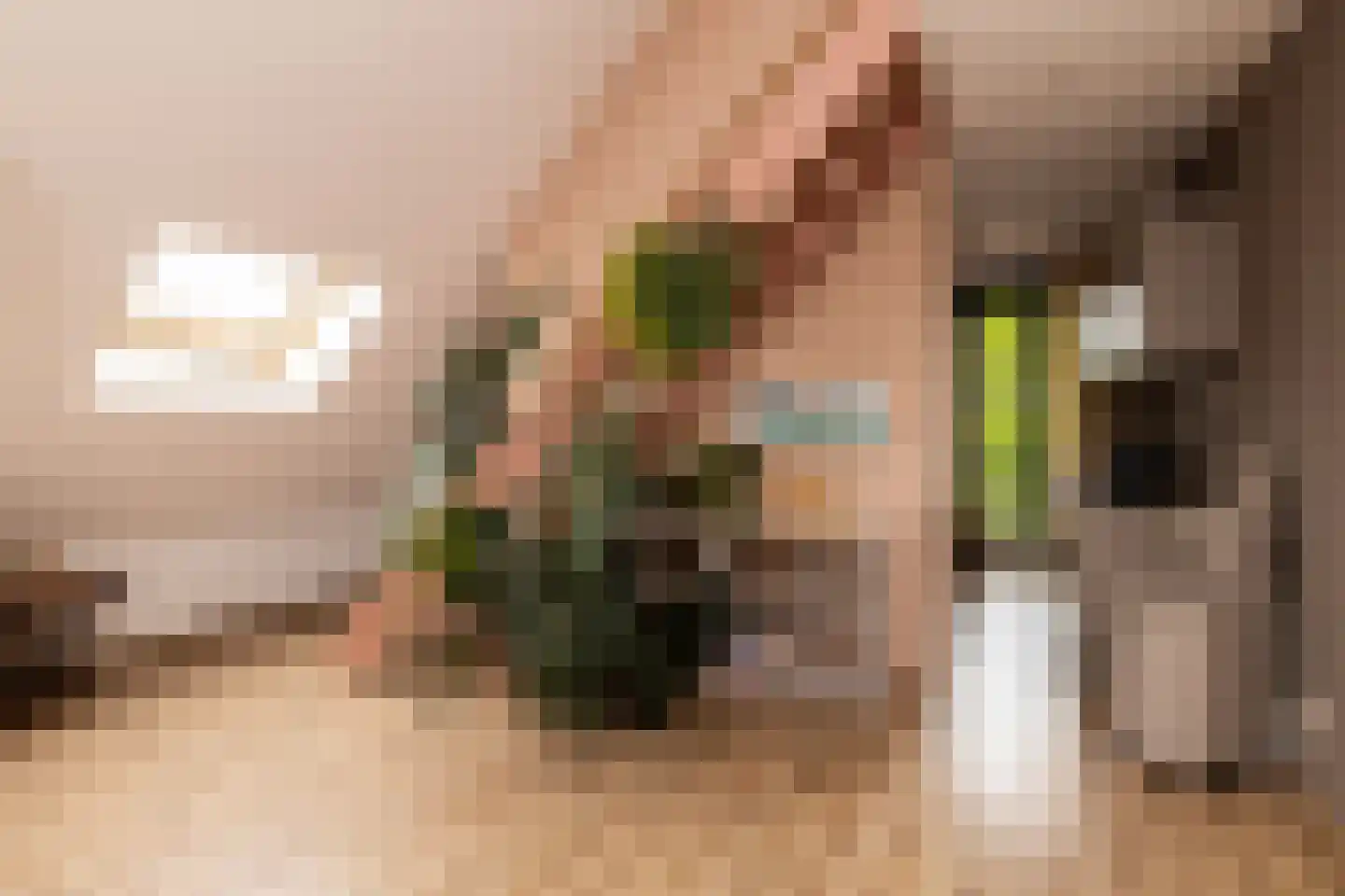 Oranjeplaats 20 Schoonhoven thumbnail 27