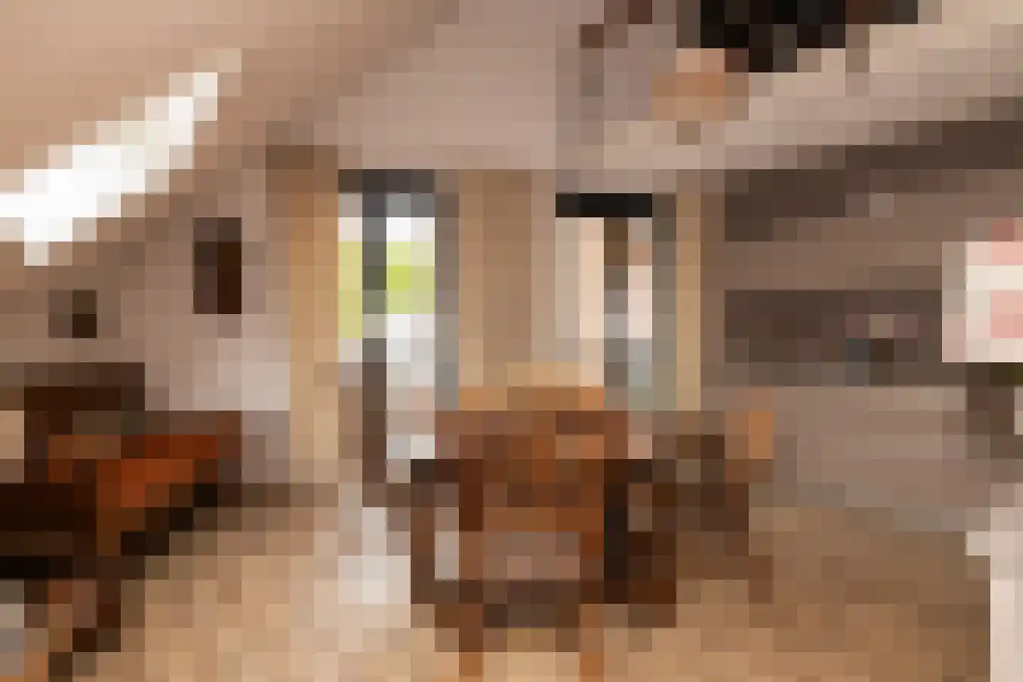 Oranjeplaats 20 Schoonhoven thumbnail 28