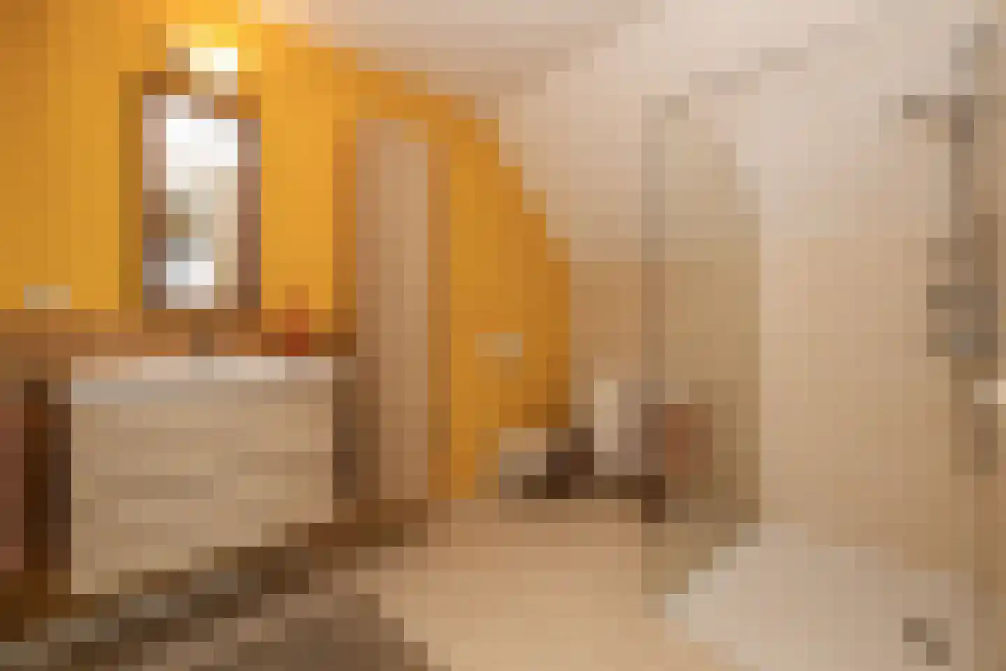 Oranjeplaats 20 Schoonhoven thumbnail 35