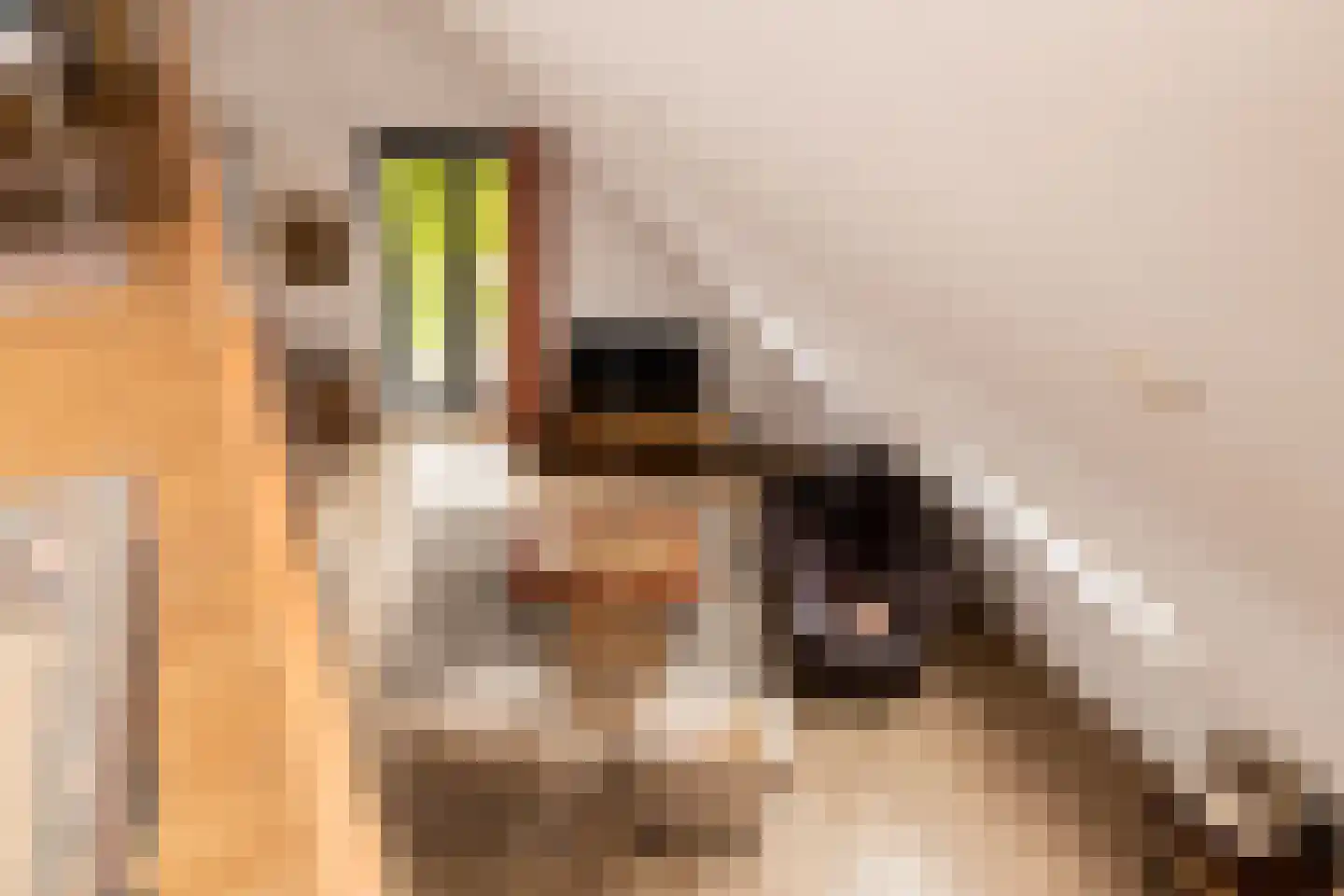 Oranjeplaats 20 Schoonhoven thumbnail 41