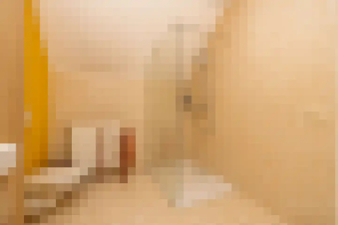 Oranjeplaats 20 Schoonhoven thumbnail 5