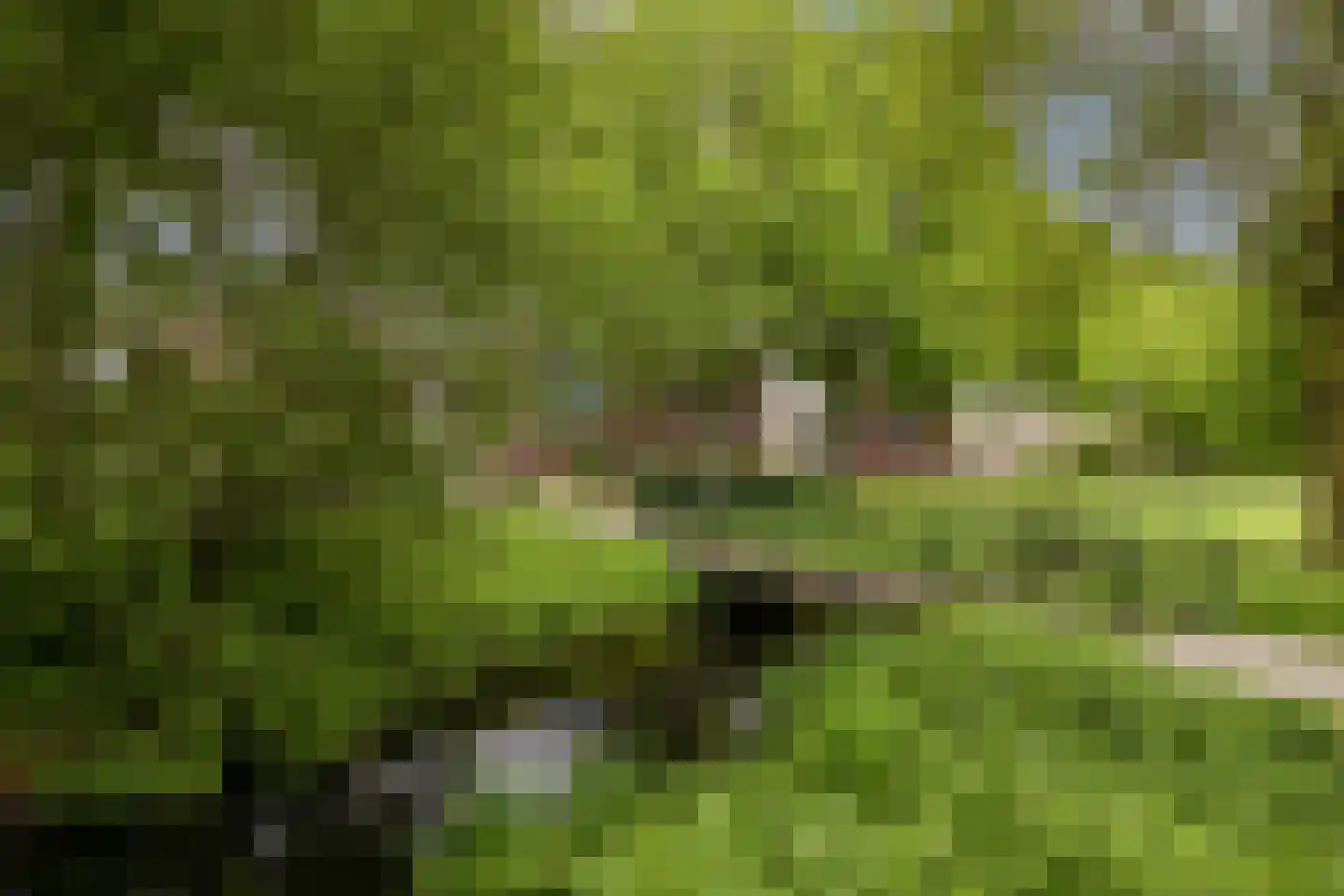 Oranjeplaats 20 Schoonhoven thumbnail 7