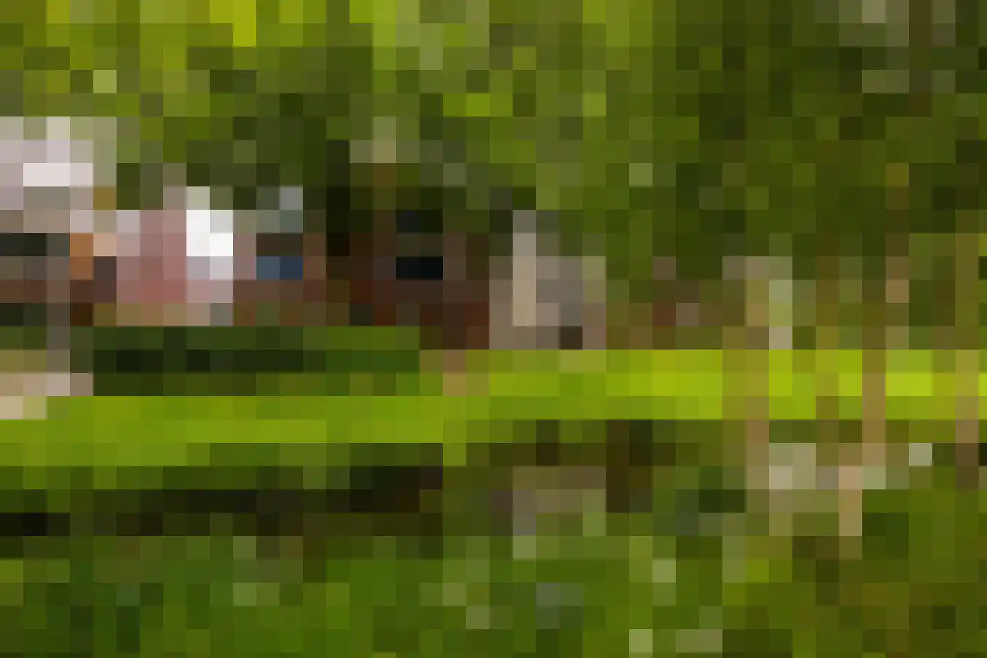 Oranjeplaats 20 Schoonhoven thumbnail 8