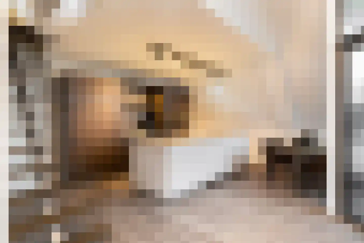 Oranjeplaats 32 Schoonhoven thumbnail 10