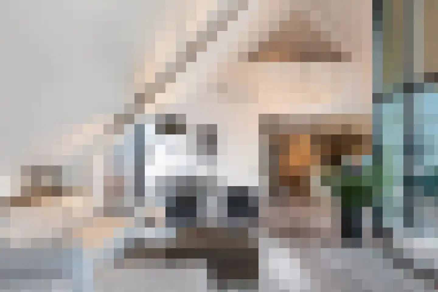 Oranjeplaats 32 Schoonhoven thumbnail 12