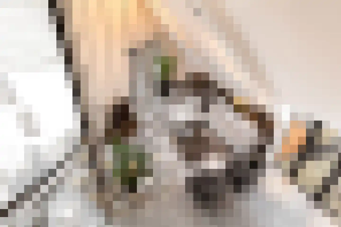 Oranjeplaats 32 Schoonhoven thumbnail 14