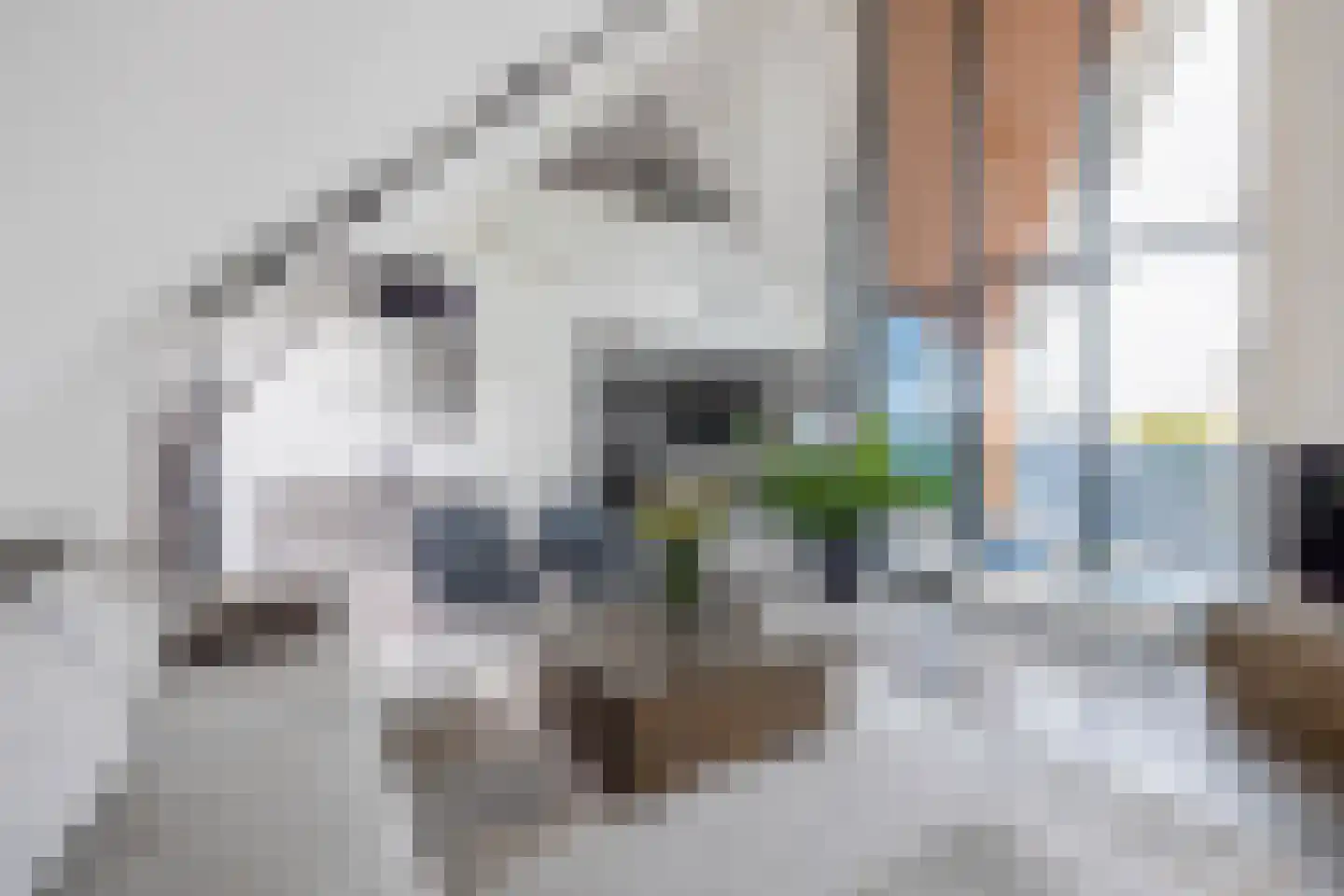 Oranjeplaats 32 Schoonhoven thumbnail 16