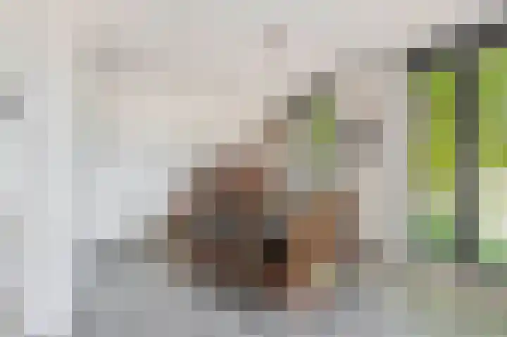 Oranjeplaats 8 Schoonhoven thumbnail 16