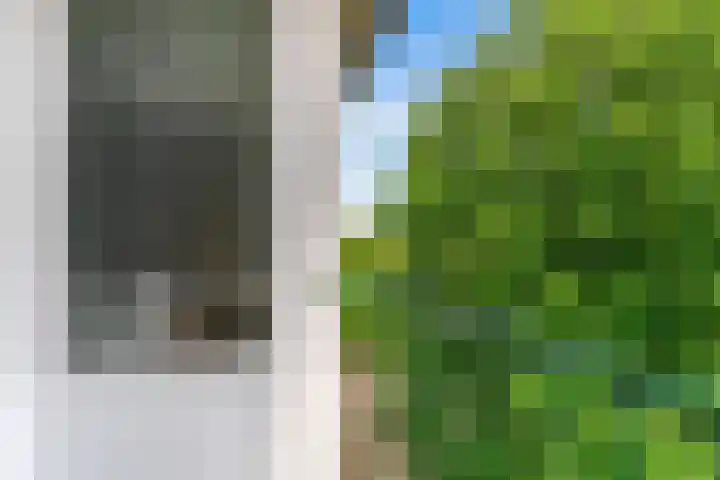 Oranjeplantsoen 27 Diemen thumbnail 19