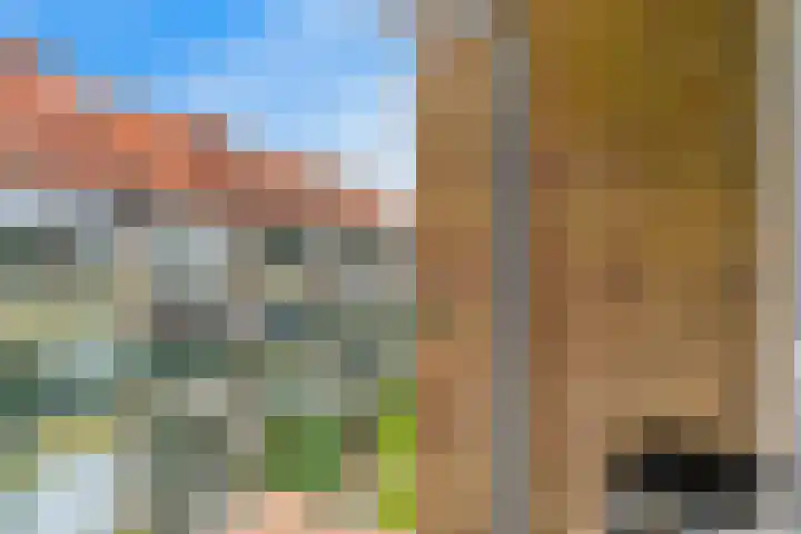 Oranjeplantsoen 27 Diemen thumbnail 20