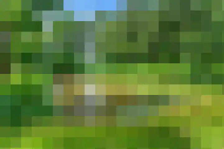 Oranjeplantsoen 27 Diemen thumbnail 29