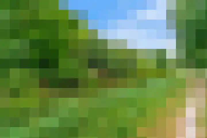 Oranjeplantsoen 27 Diemen thumbnail 31