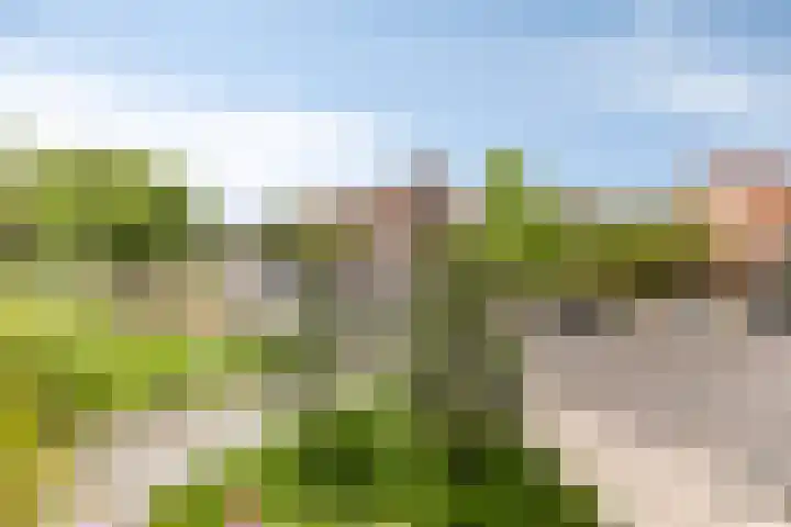 Oranjeplantsoen 46 Diemen thumbnail 14