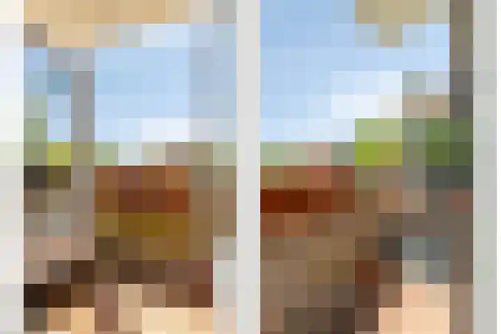 Oranjeplantsoen 46 Diemen thumbnail 17