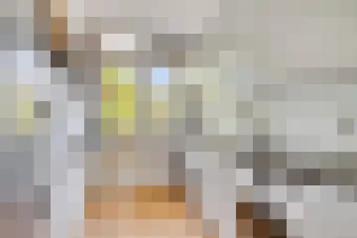 Oranjeplantsoen 46 Diemen thumbnail 4