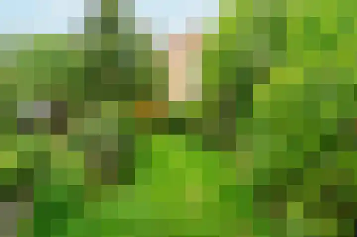 Oranjeplantsoen 50 Diemen thumbnail 37