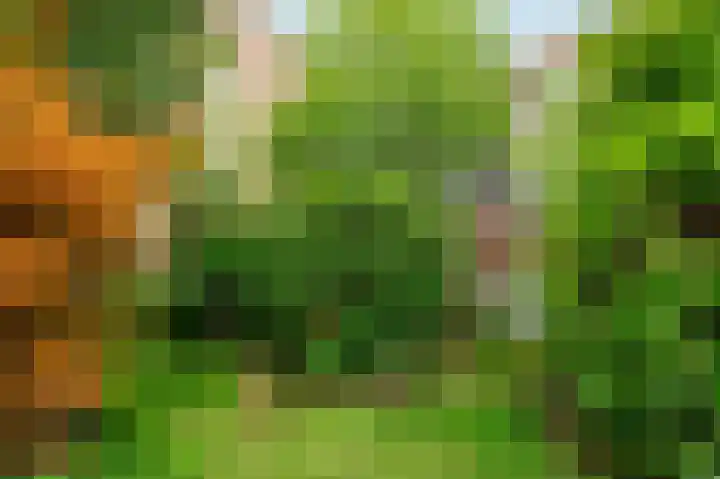 Oranjeplantsoen 50 Diemen thumbnail 38
