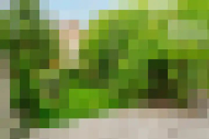 Oranjeplantsoen 50 Diemen thumbnail 4
