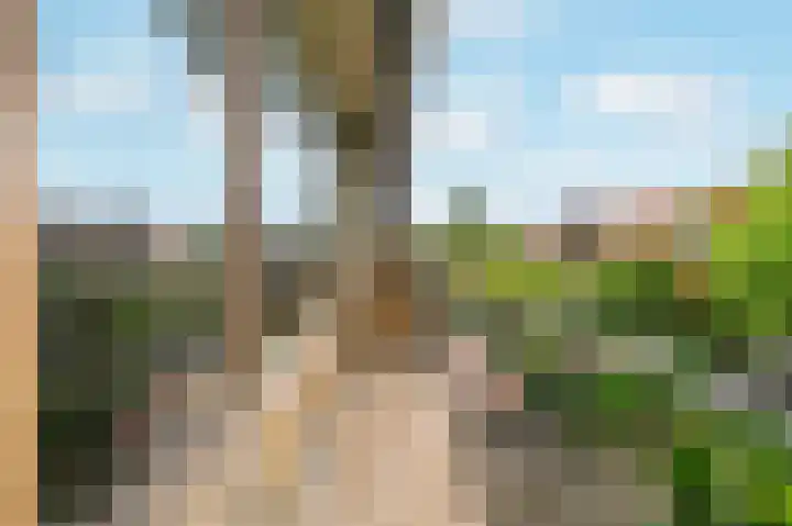 Oranjeplantsoen 50 Diemen thumbnail 42