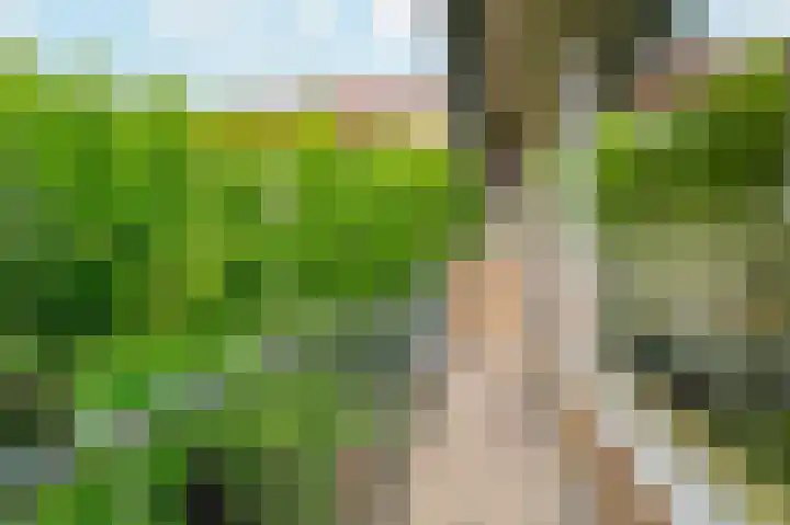 Oranjeplantsoen 50 Diemen thumbnail 43