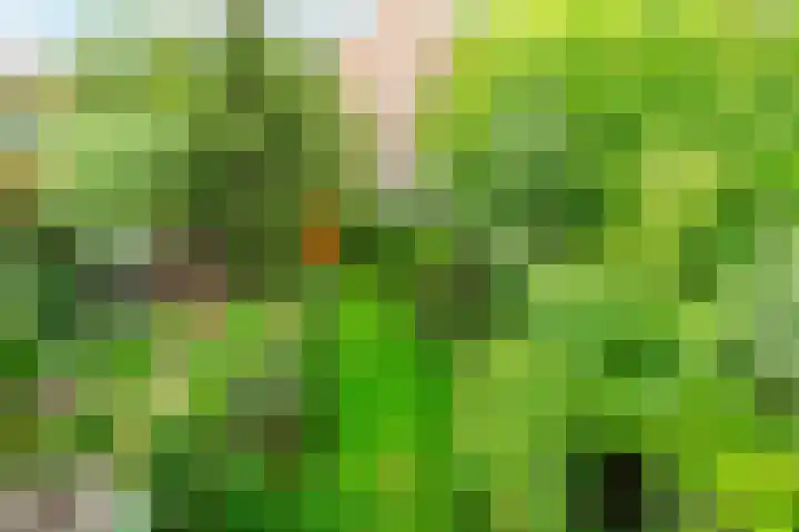 Oranjeplantsoen 50 Diemen thumbnail 44