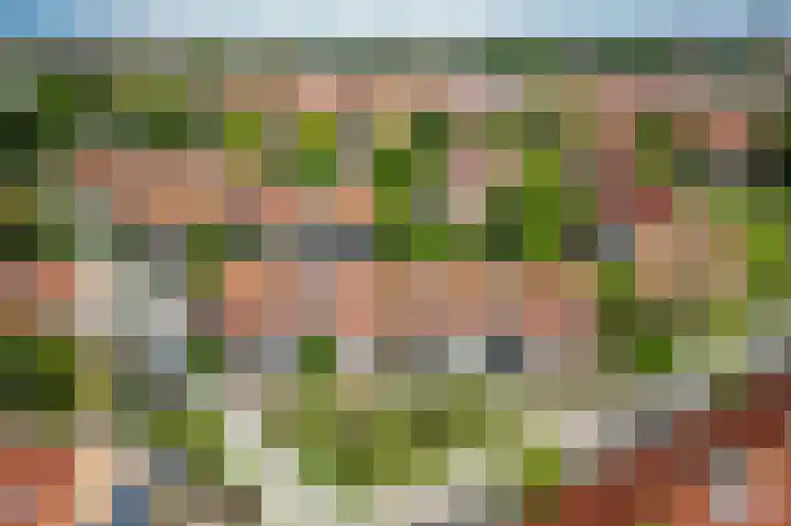 Oranjeplantsoen 50 Diemen thumbnail 49