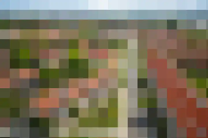 Oranjeplantsoen 50 Diemen thumbnail 50