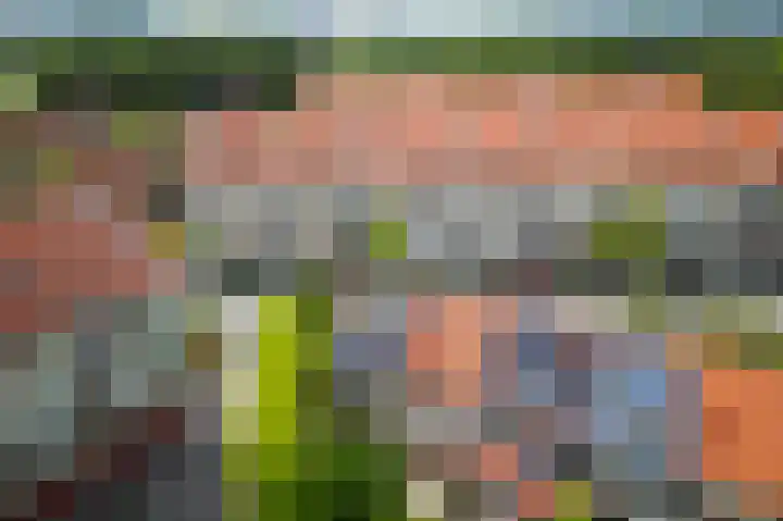 Oranjeplantsoen 50 Diemen thumbnail 52