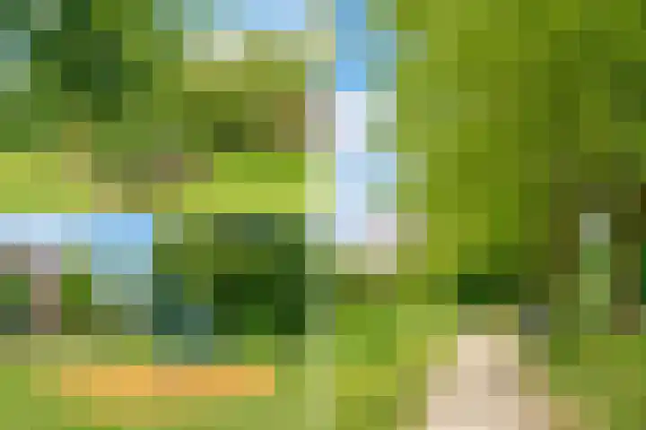 Oranjeplantsoen 50 Diemen thumbnail 55