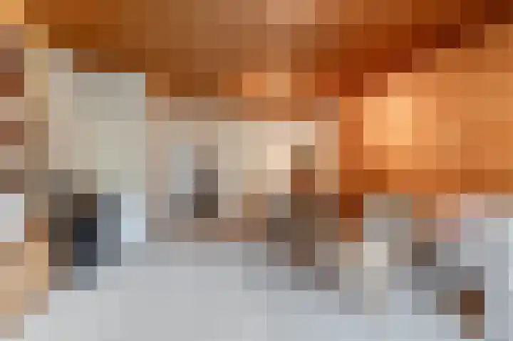 Oranjeplantsoen 50 Diemen thumbnail 7