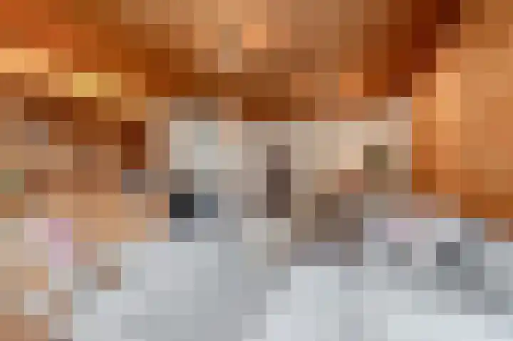 Oranjeplantsoen 50 Diemen thumbnail 8