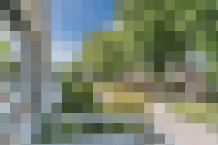 Oranjeplantsoen 9 Bodegraven thumbnail 21