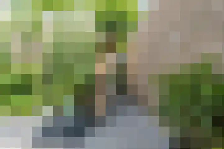 Oranjeplantsoen 9 Bodegraven thumbnail 34