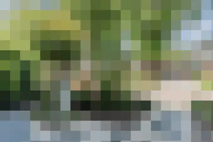 Oranjeplantsoen 9 Bodegraven thumbnail 36