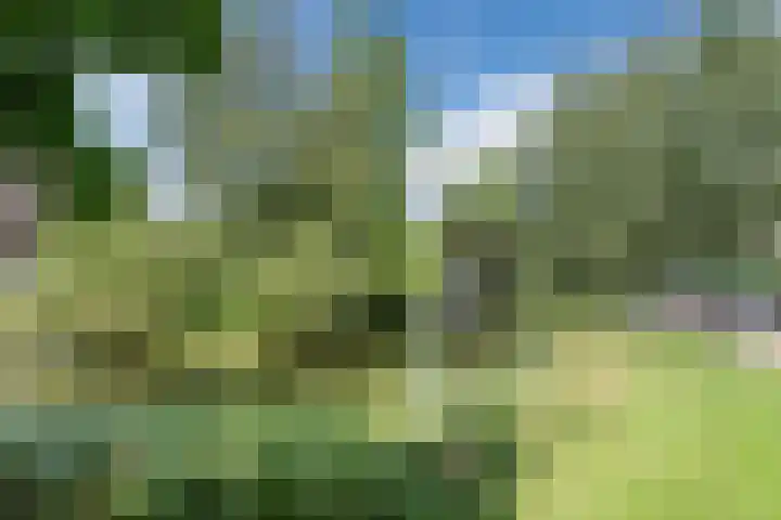 Oranjeplantsoen 9 Bodegraven thumbnail 39