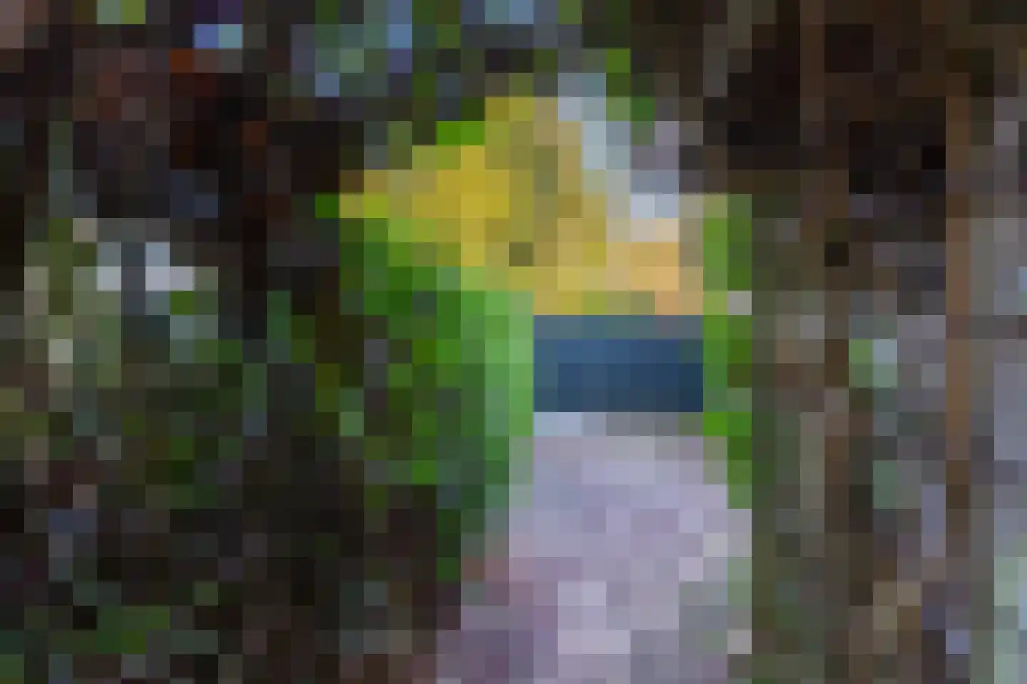 Oranjeplein 1 Bunde thumbnail 39