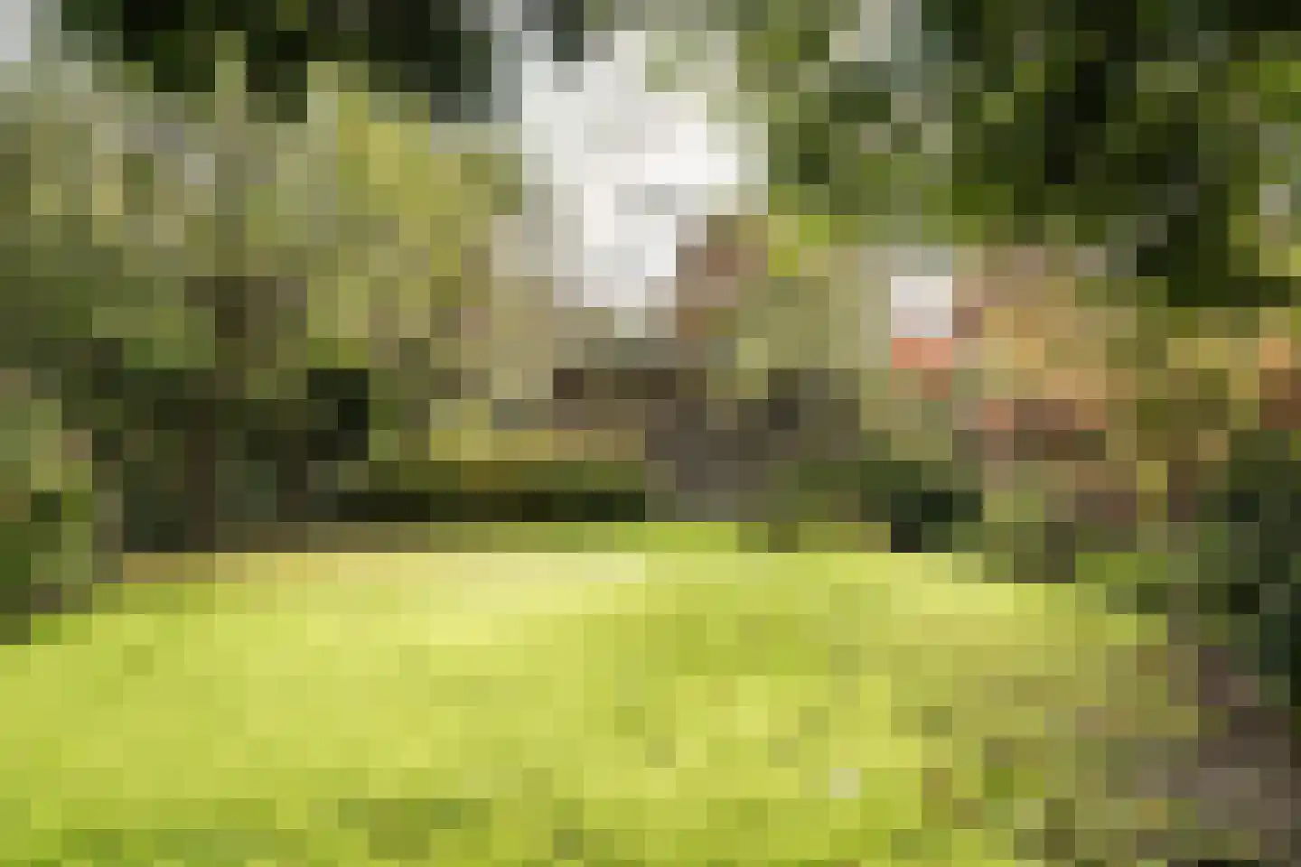 Oranjeplein 1 Haarlem thumbnail 23
