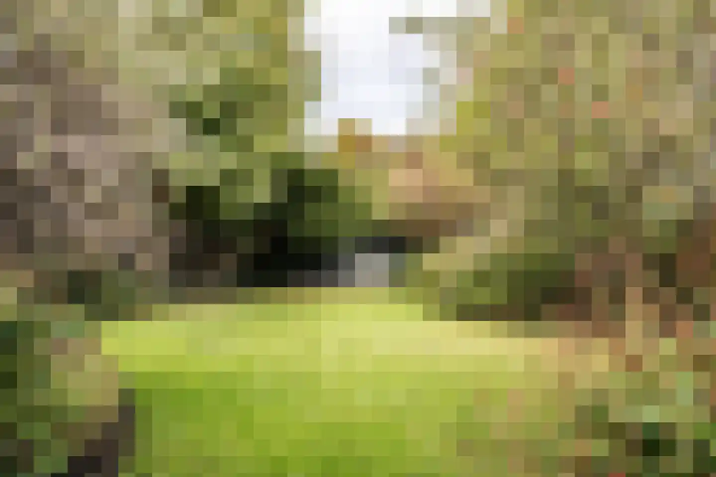 Oranjeplein 1 Haarlem thumbnail 25