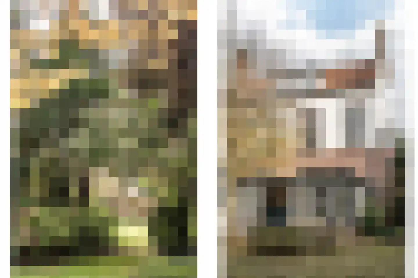 Oranjeplein 1 Haarlem thumbnail 27