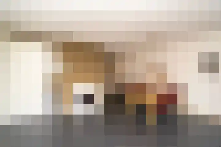 Oranjeplein 13 a Goirle thumbnail 24