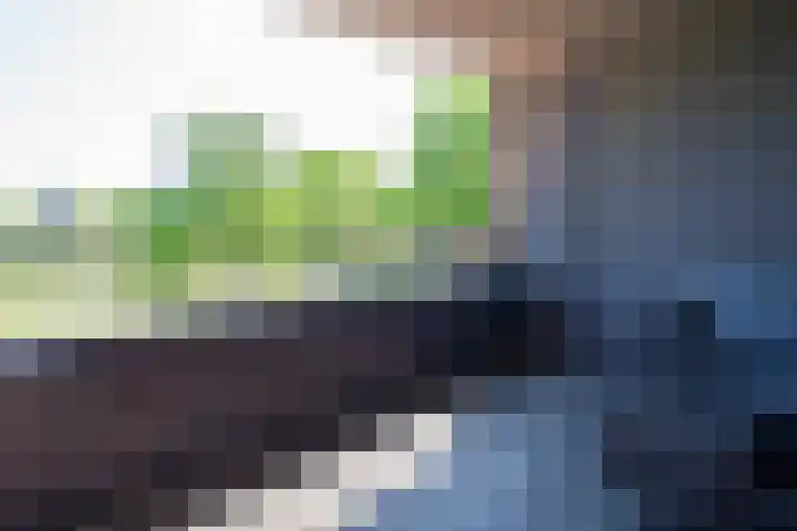 Oranjeplein 13 a Goirle thumbnail 32