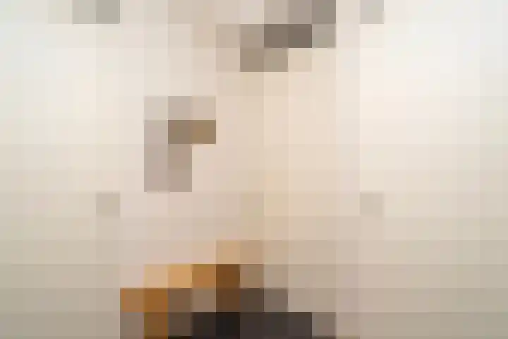 Oranjeplein 13 a Goirle thumbnail 34