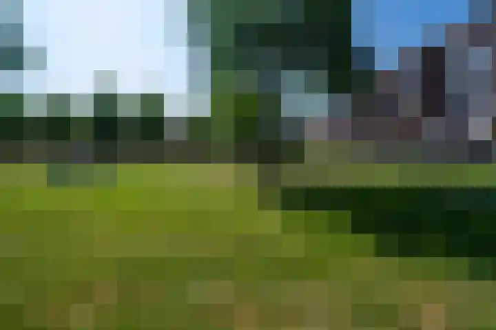 Oranjeplein 13 a Goirle thumbnail 49