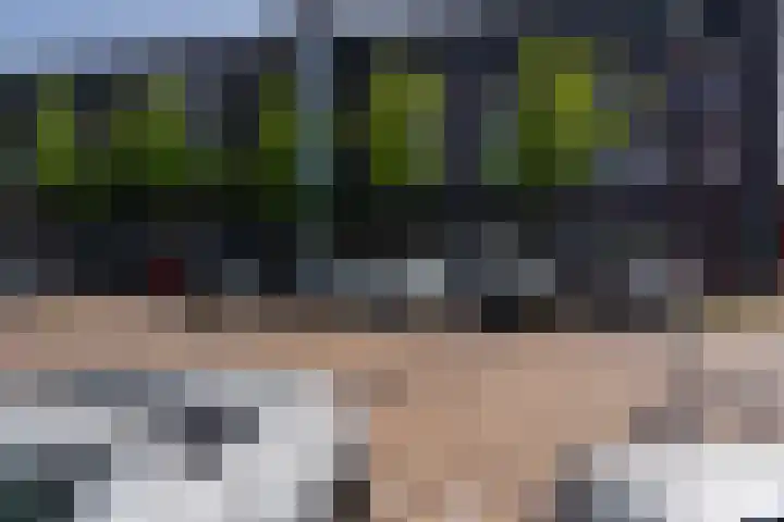 Oranjeplein 13 a Goirle thumbnail 7