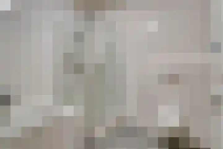 Oranjeplein 17 Goirle thumbnail 17