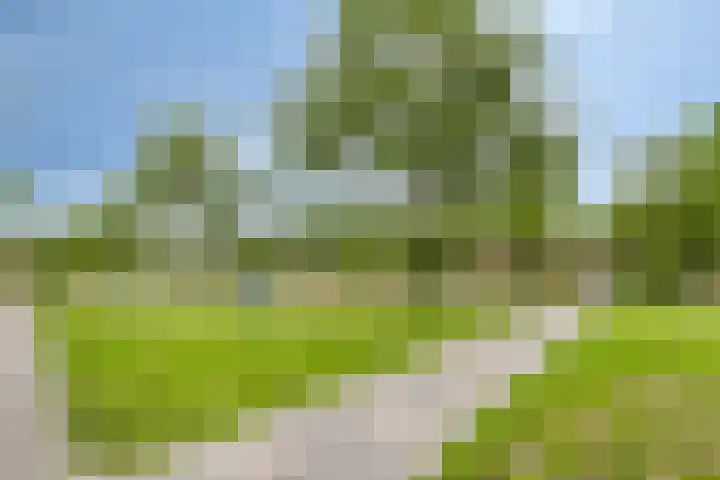 Oranjeplein 17 Goirle thumbnail 34